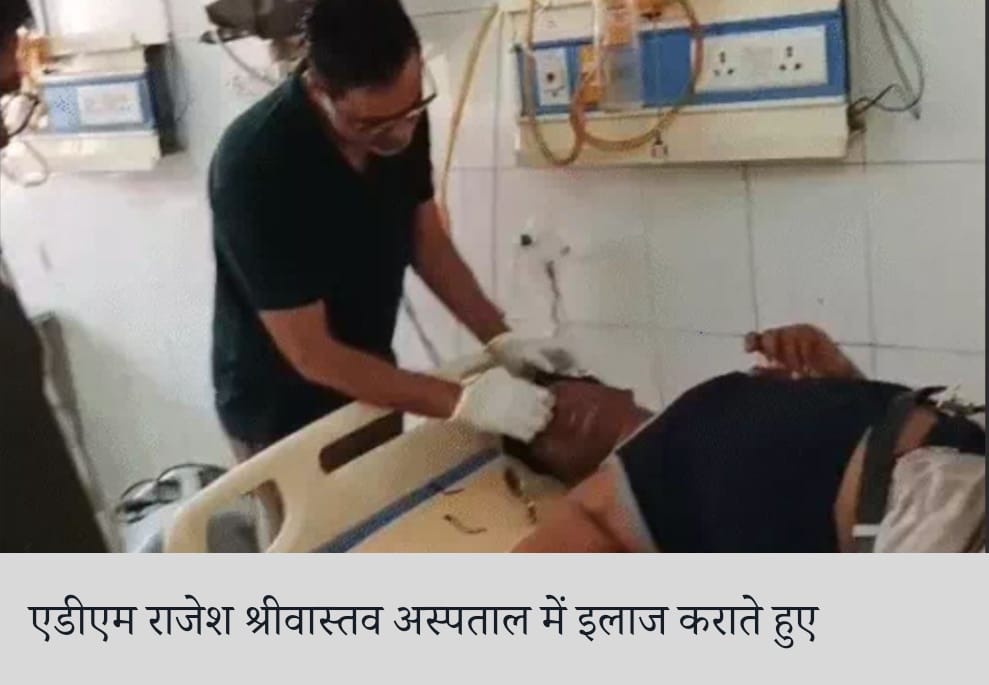 मधुमक्खियां ने किया ललितपुर एडीएम पर हमला, मारे 500 डंक, जान बचाकर भागे सीओ और अधिकारी